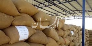  بالصور أمام :  يتفقد صوامع القمح فى شربين ليلا مفيش حباية قمح هتخرج إلا على جثتي.. ومحدش هيروح بيته" 