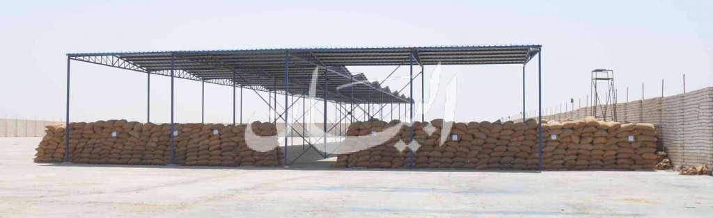 توريد 273476 طن من محصول القمح لموسم 2016