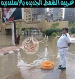 اسكندريه 