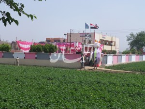SAM_0536