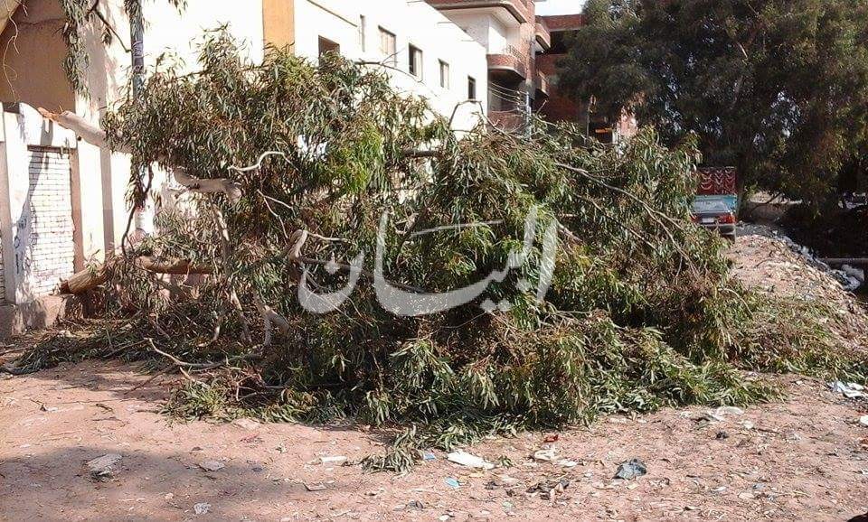 قطع1